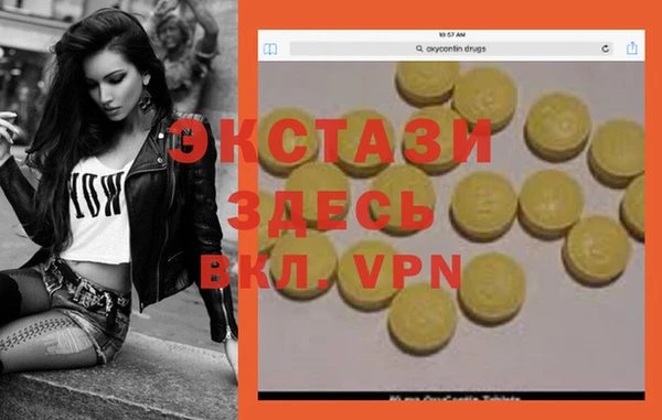 хмурый Инта