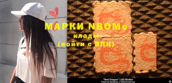хмурый Инта