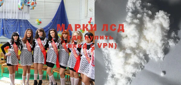 хмурый Инта