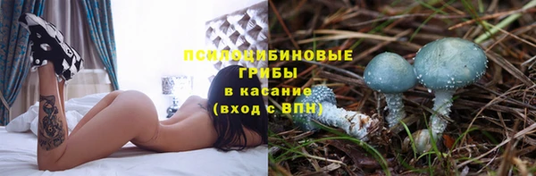 мескалин Инсар