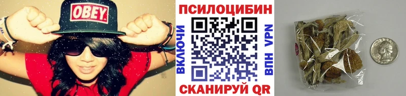 Купить где Елизово Галлюциногенные грибы Magic Shrooms